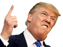 :trump_boost: