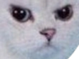 :mechat: