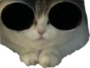 :chat_redpill: