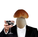 :Champiverre: