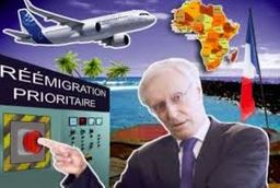 :Remigration: