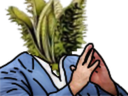 :Datura: