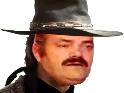 :cowboy_choque: