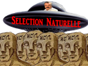 :selection-naturelle: