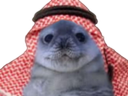 :PhoqueArab:
