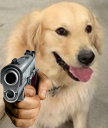:chienflingue: