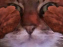 :chat_zoom_mains2: