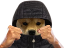:ChienBagarre: