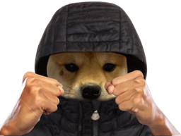 :ChienBagarre: