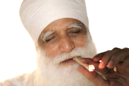:vieux_sage_indien_fume:
