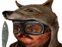 :Vulperisitas: