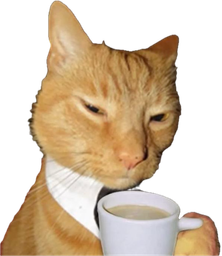 :chat_tasse1: