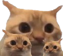 :chat_limite_x3: