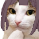 :cat_think_menhera: