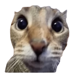 :AahCat: