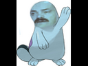 :Maraiste: