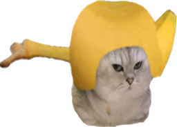 :chatbrushingbanane: