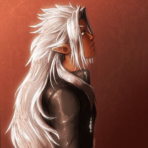 LeVraiXemnas