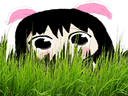 :mignoncache: