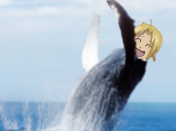 :Edward_rire_baleine: