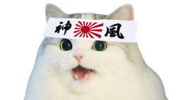 :cattopon: