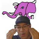 :Elephant_rose_: