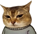 :VroChillguyZoom: