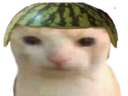 :chatpasteque: