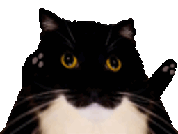 :TANGO_CAT: