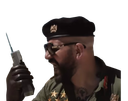 :Pp4: