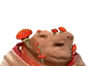 :avortin_champignons: