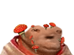 :avortin_champignons: