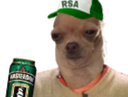:chien_rsa_chihuaha: