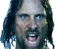 :aragorn_bataille: