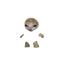 :chat_espion: