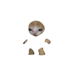 :chat_espion: