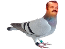 :pigeon: