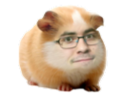 :Hamster_debile: