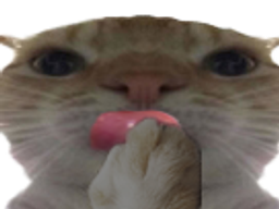 :chakleche: