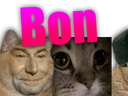 :chatretou1: