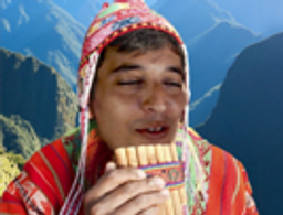 :perou_flute: