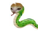 :serpenchat: