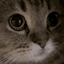Photo de profil de M30w