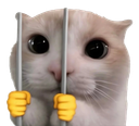 :Prison_chat: