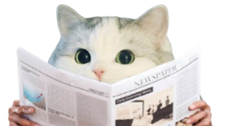 :CattoJournal: