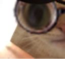 :chatpirate33: