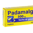 PADAMALGAM500mg