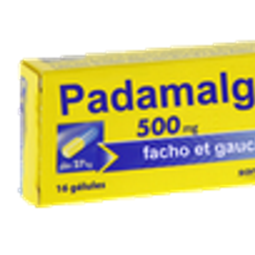PADAMALGAM500mg