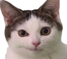 :chat_perplex: