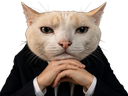 :ChatPenseur: